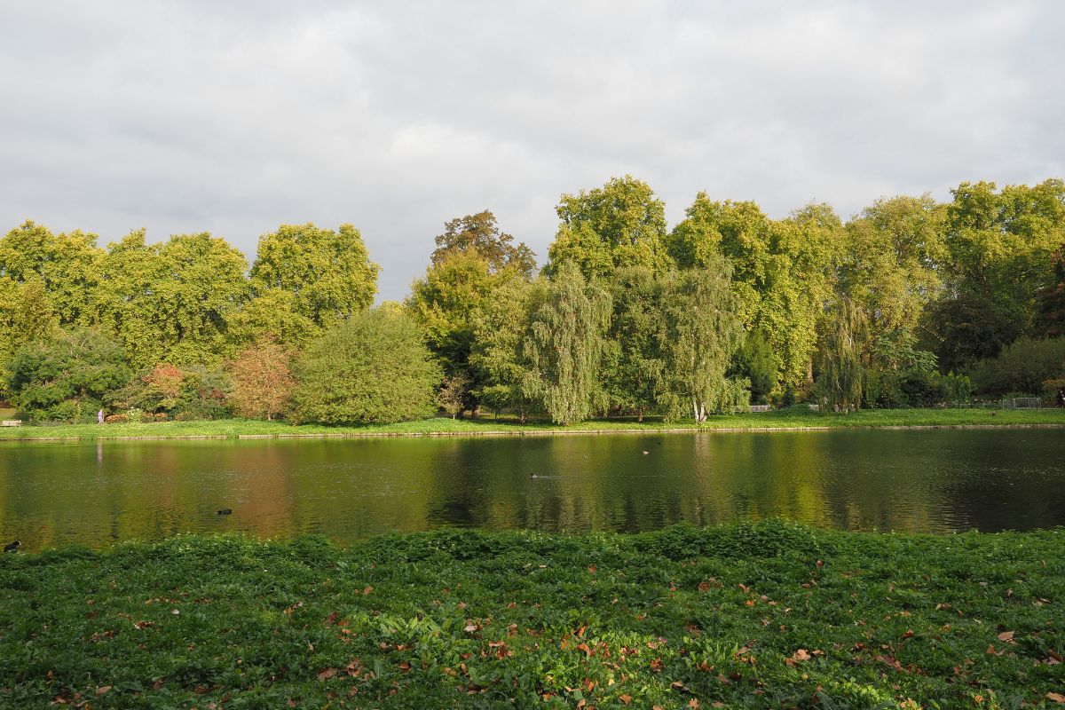 Parc à londres