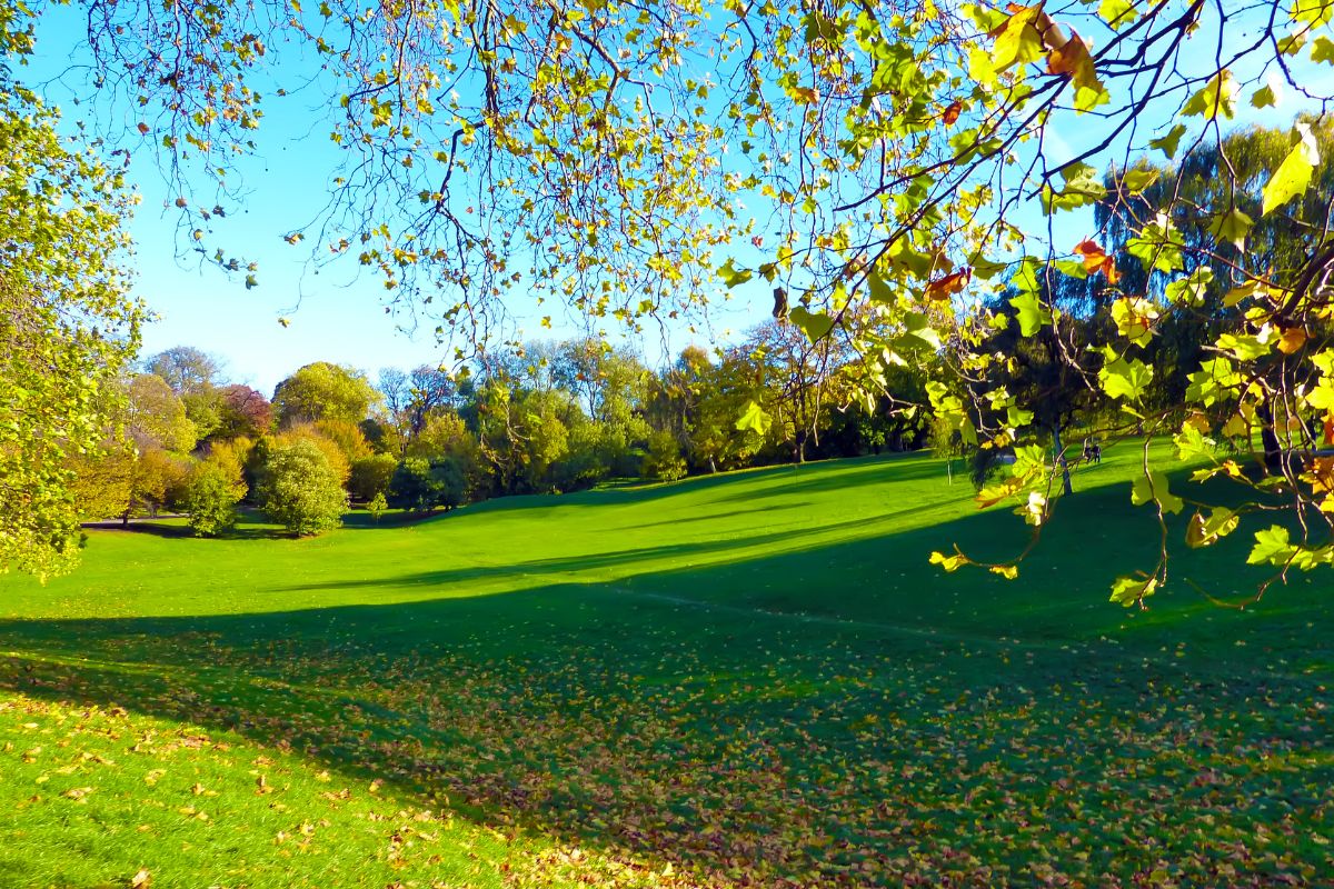 Parc à londres