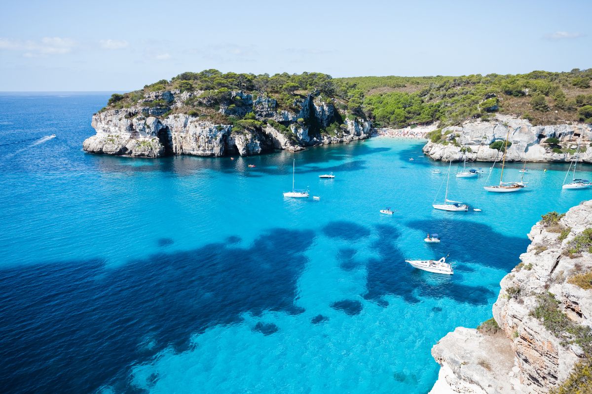 Marmara Menorca avis