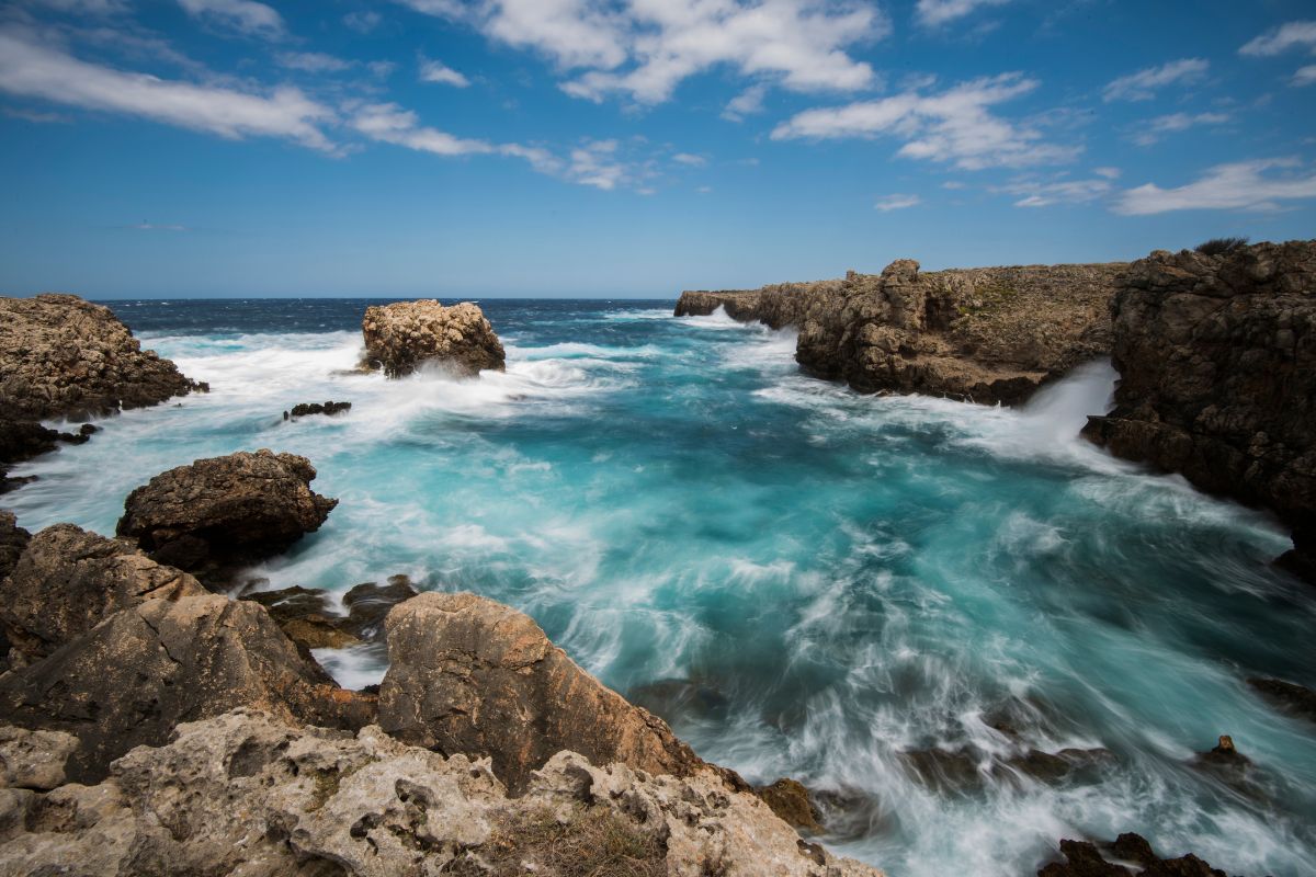 Marmara Menorca avis