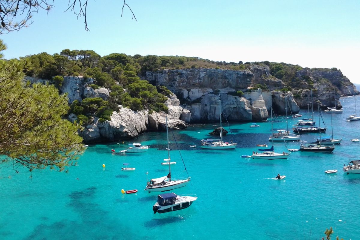 Marmara Menorca avis