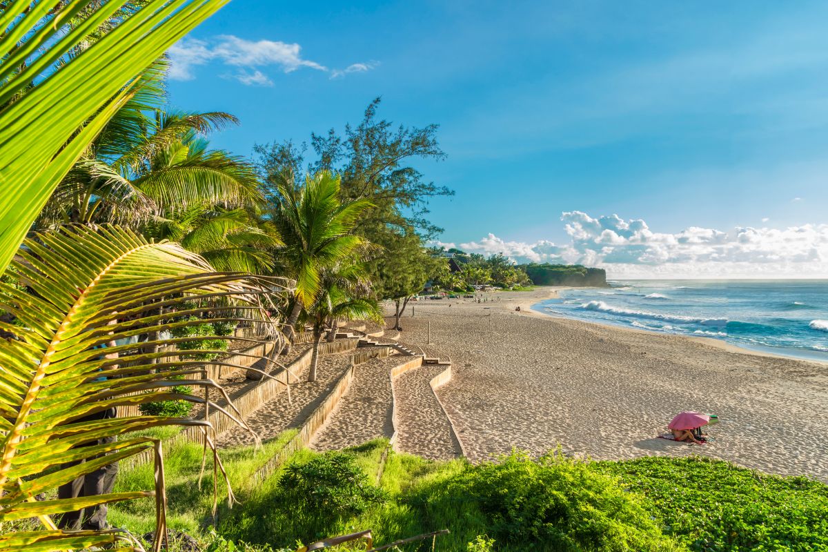 Réunion en Janvier avis