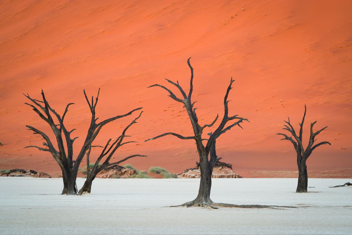 J'ai fait un autotour en Namibie: découvrez les essentiels du pays