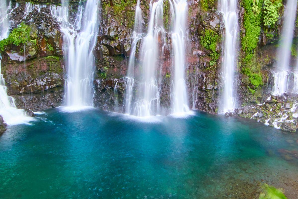 Réunion en Janvier avis