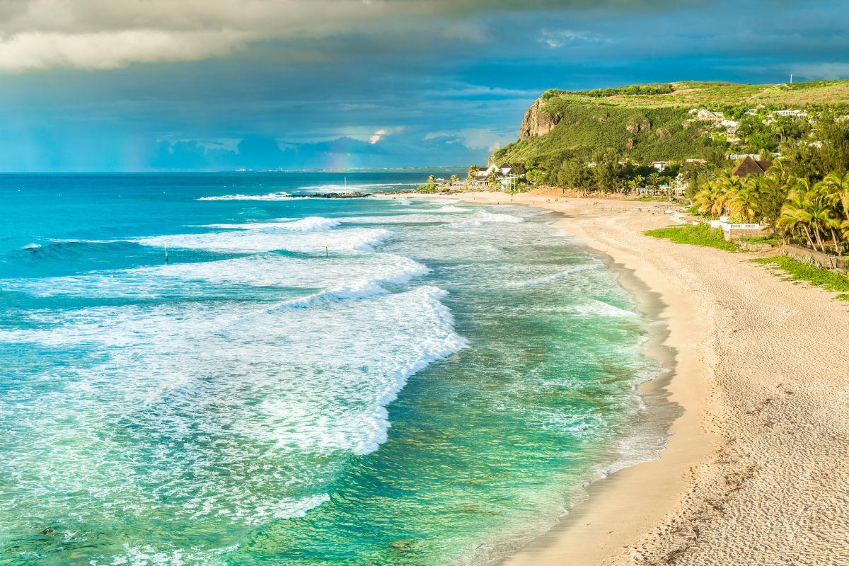 Réunion en Janvier avis