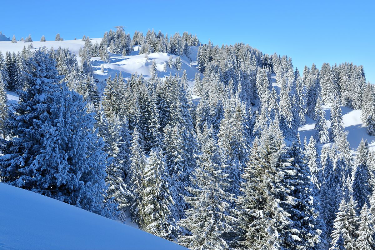 Les stations de ski premium accessibles sans voiture: la liberté au sommet