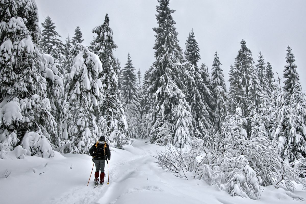 Les vacances au ski tout compris en famille, le meilleur choix !