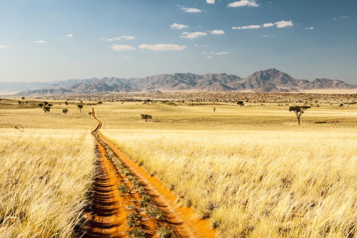 J'ai fait un autotour en Namibie: découvrez les essentiels du pays