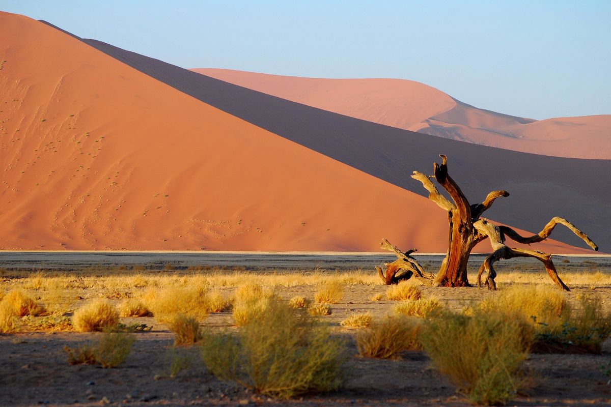 J'ai fait un autotour en Namibie: découvrez les essentiels du pays