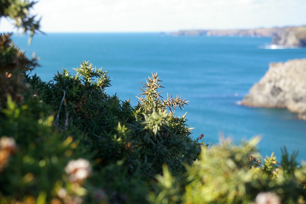 Hôtel romantique bretagne vue sur la mer