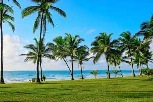 Plus belle plage du Kenya