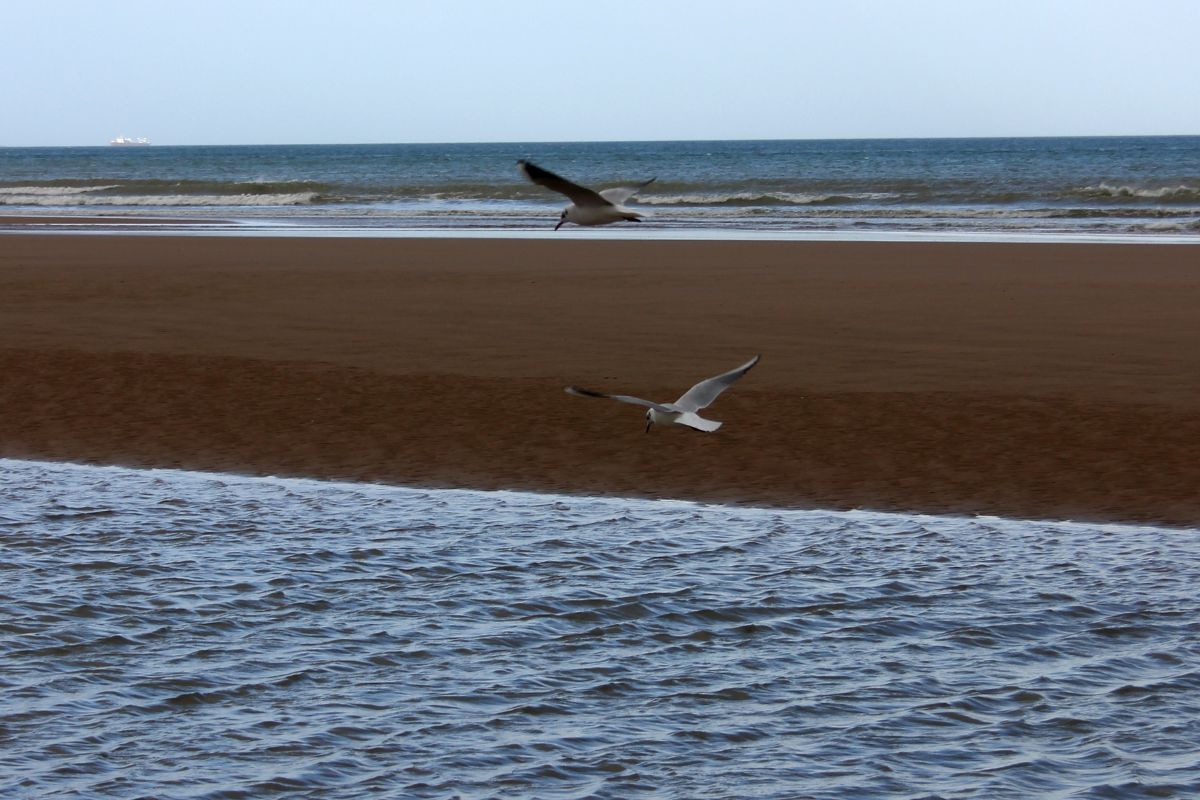 Loger pour visiter les plages du débarquement