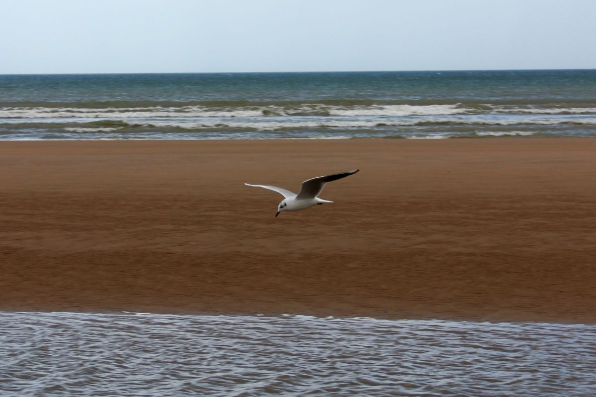 Loger pour visiter les plages du débarquement