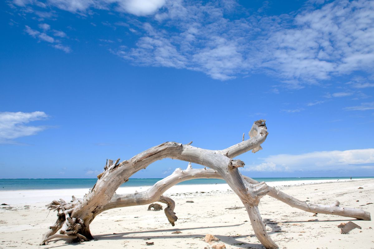 Plus belle plage du Kenya