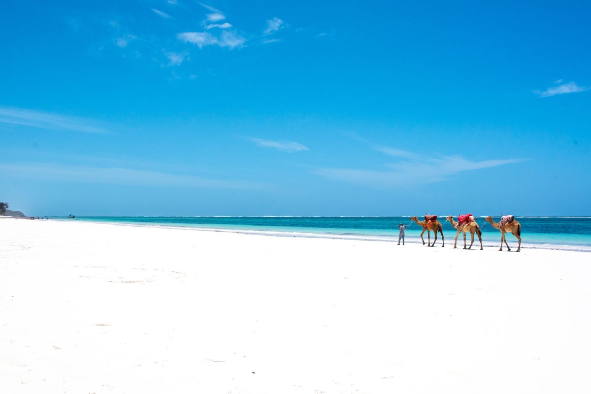 Plus belle plage du Kenya