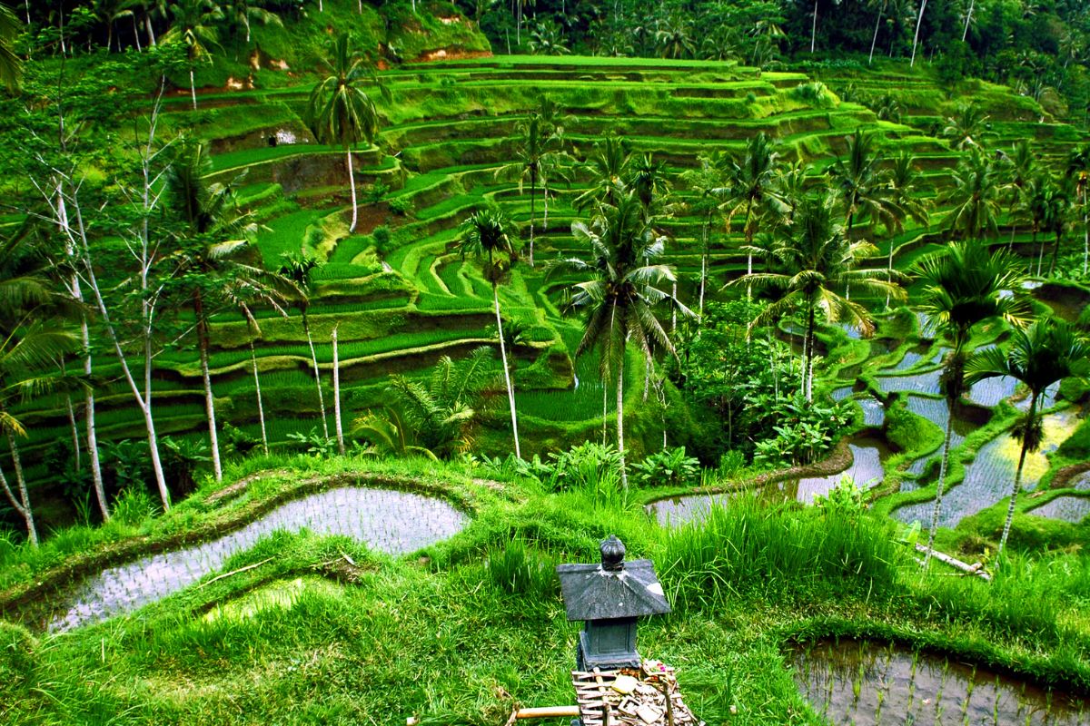 10 jours à bali