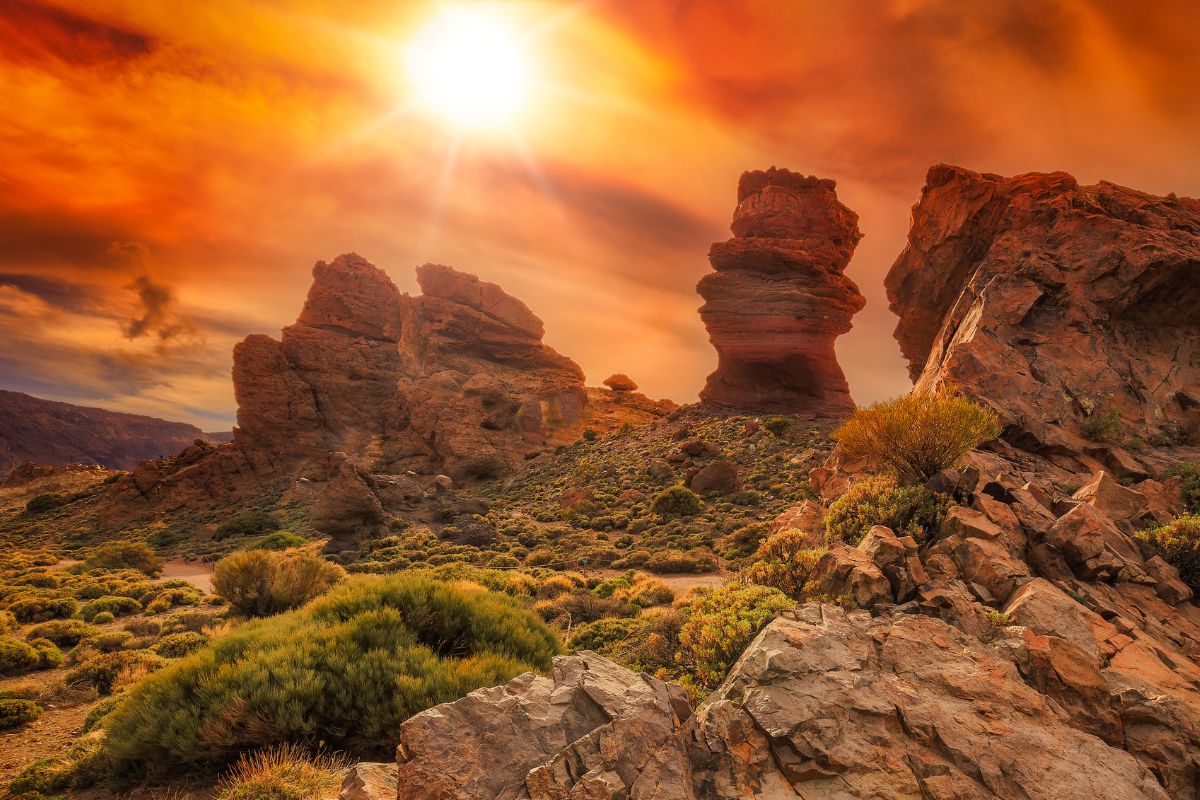 Tenerife : ïle des canaries la plus chaude