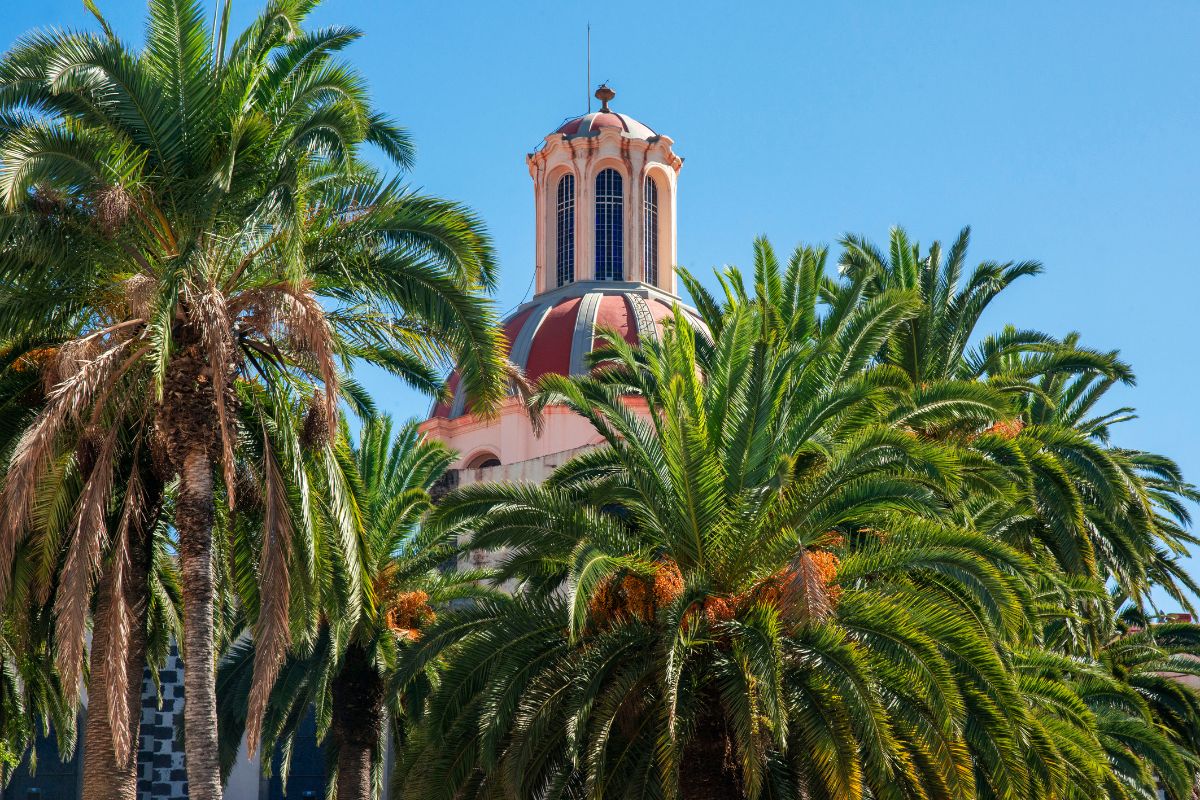 Tenerife : ïle des canaries la plus chaude