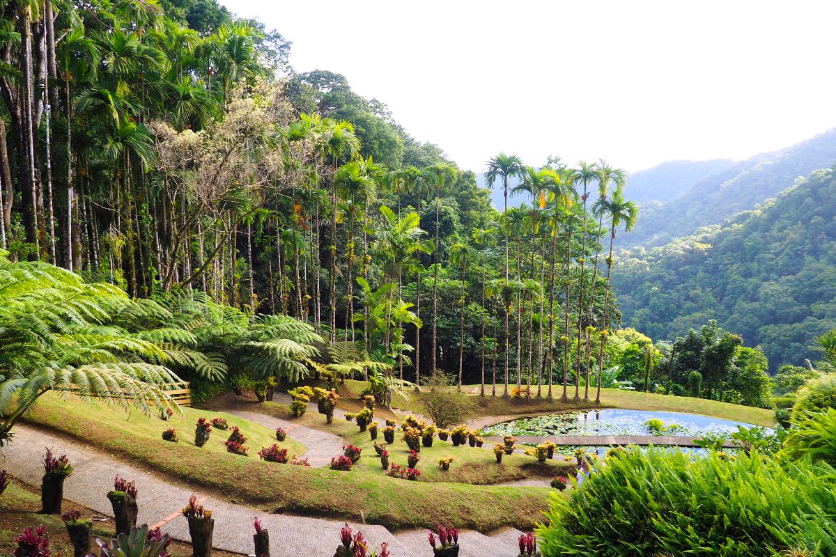 Martinique en juillet