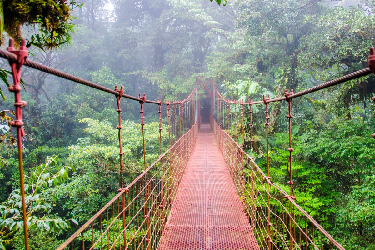 Costa rica en Aout