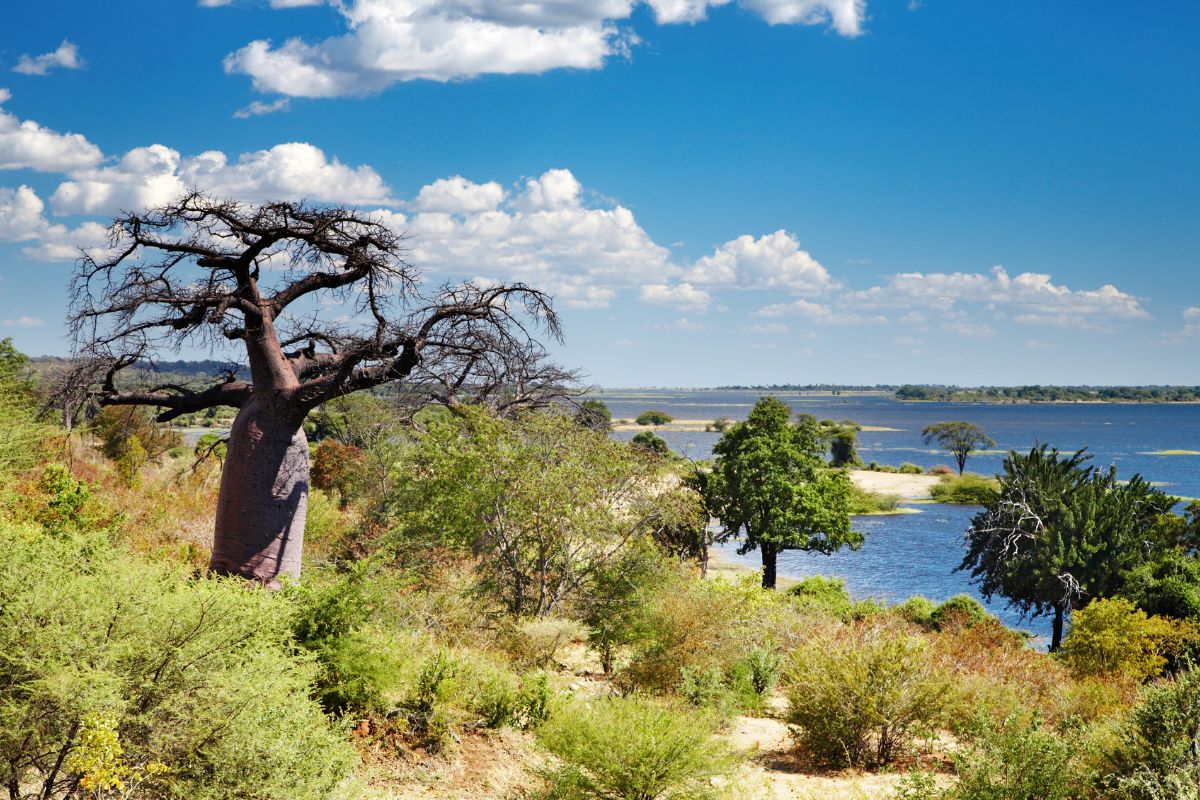 Parc national de Chobe