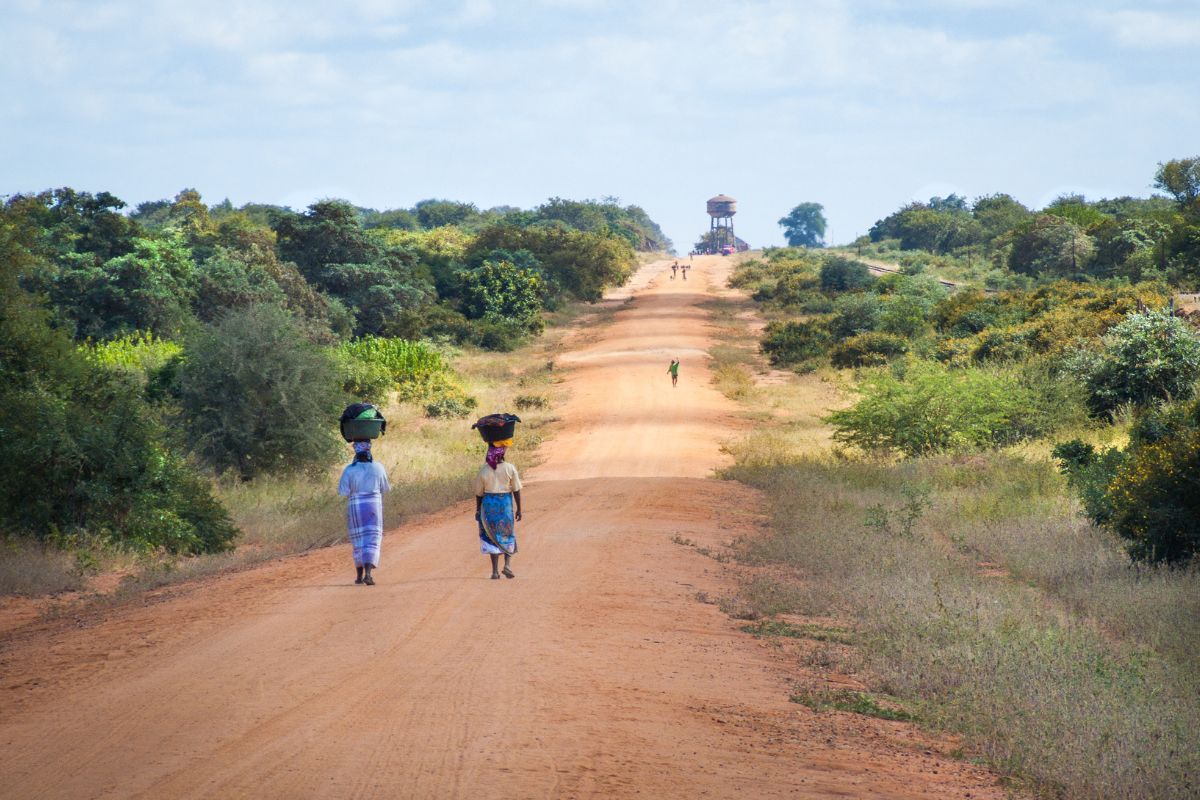 Parc national de Gorongosa