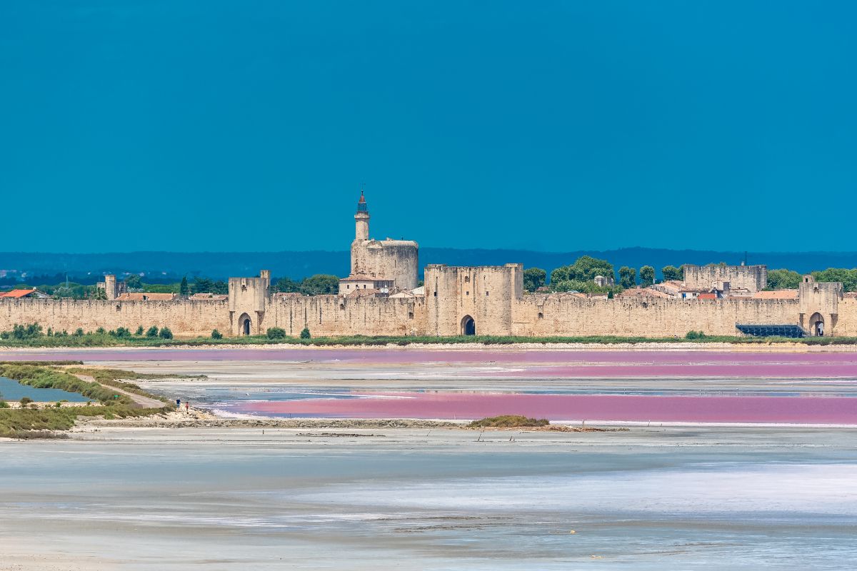 La Camargue