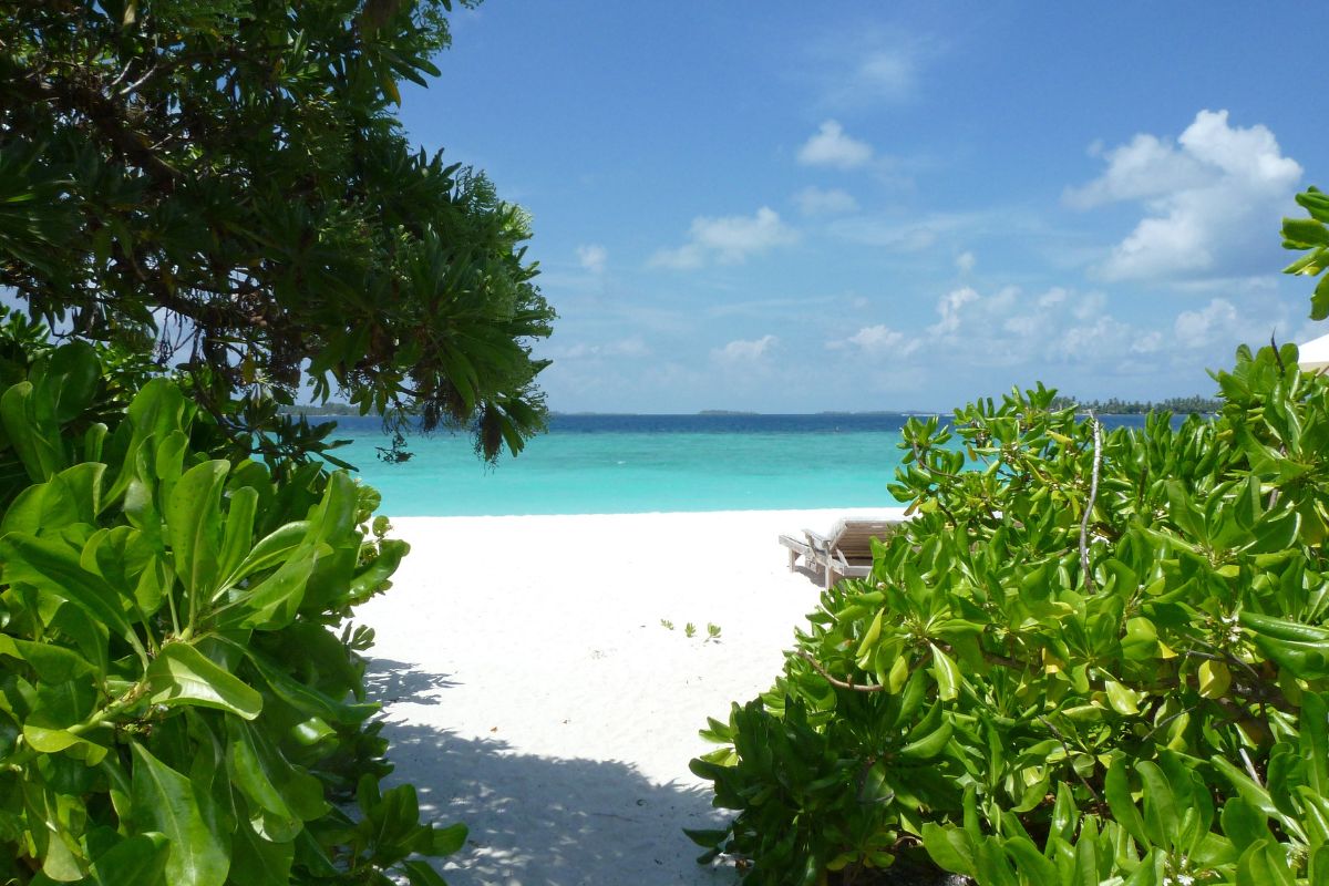 Laamu