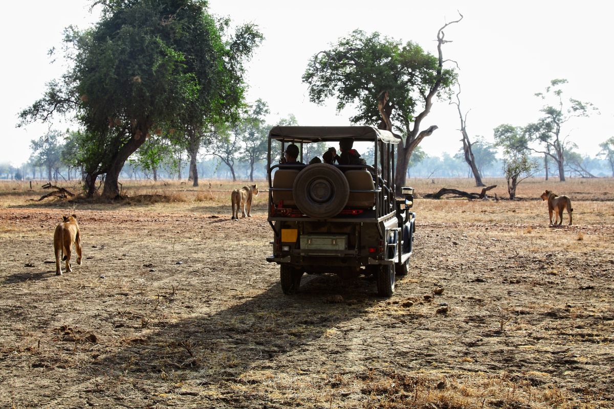 Luangwa Sud