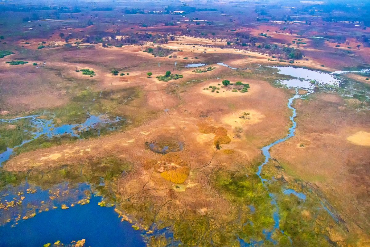 Okavango