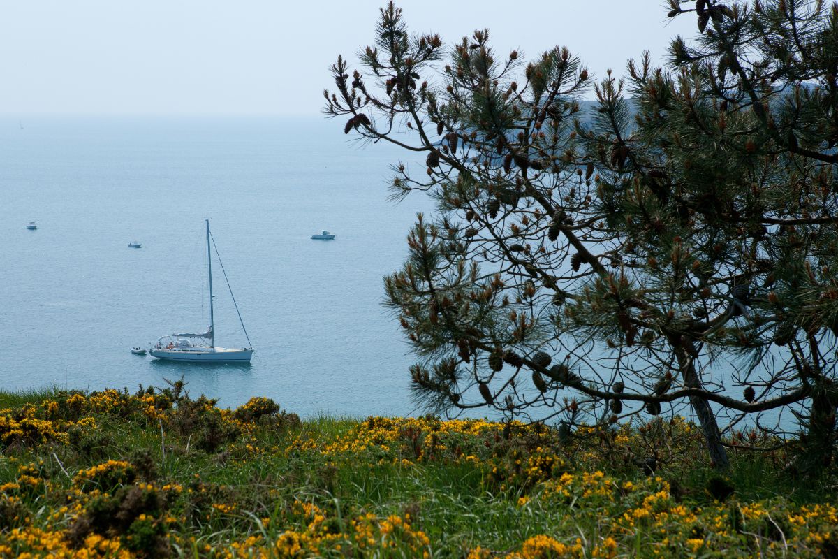 Visiter belle ile en mer