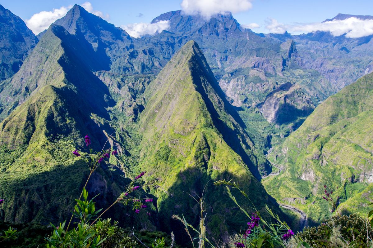 Réunion ou Maurice