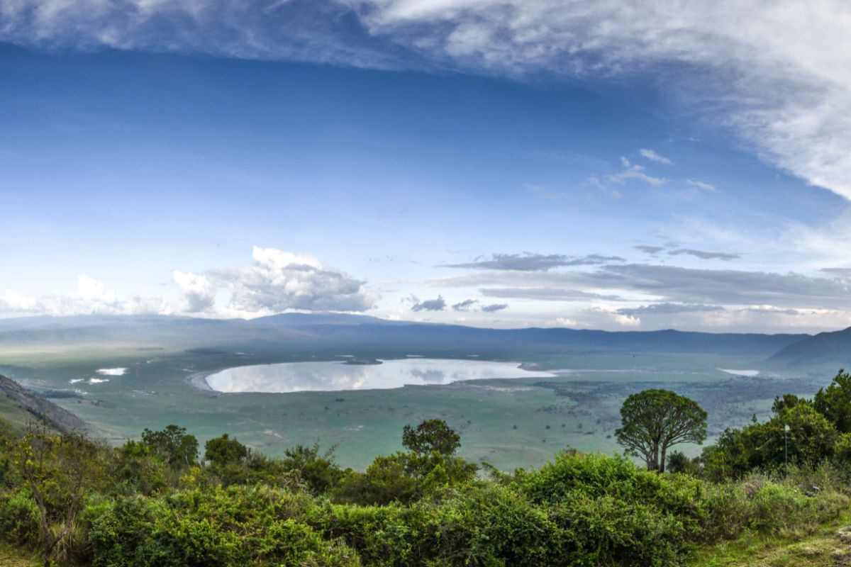 Ngorongoro