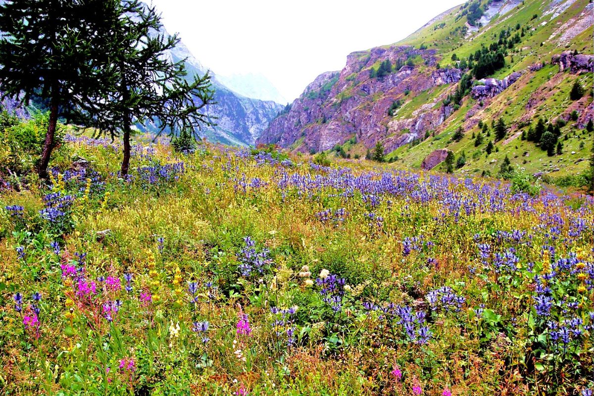 Vallée du Fournel