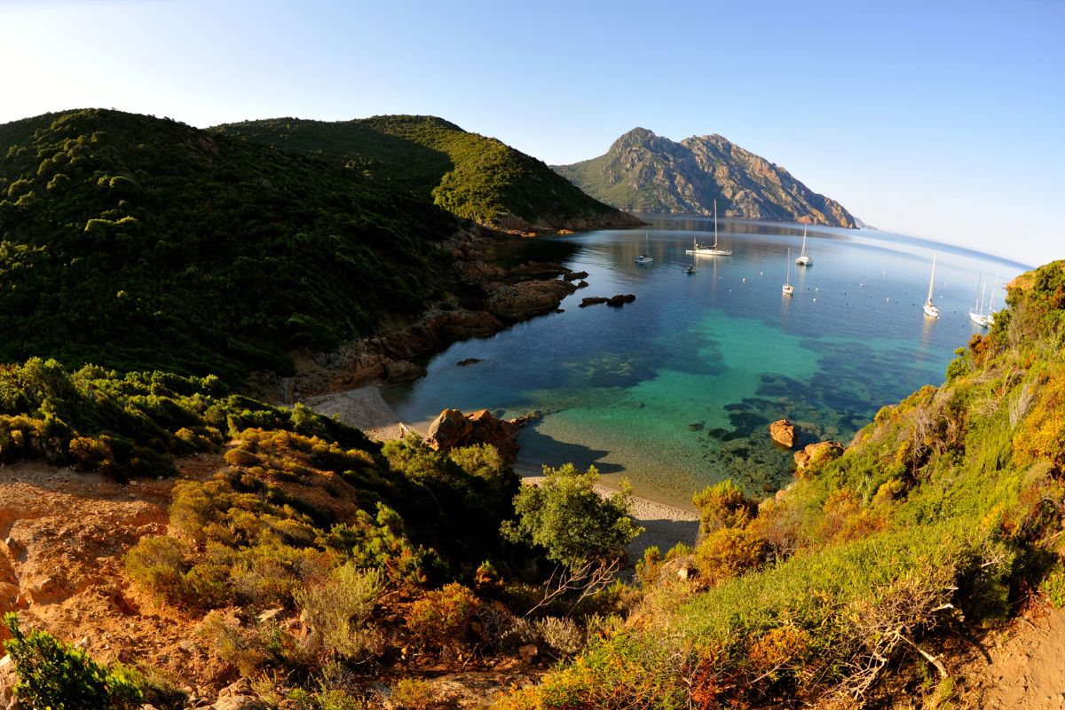 Excursion en bateau en corse