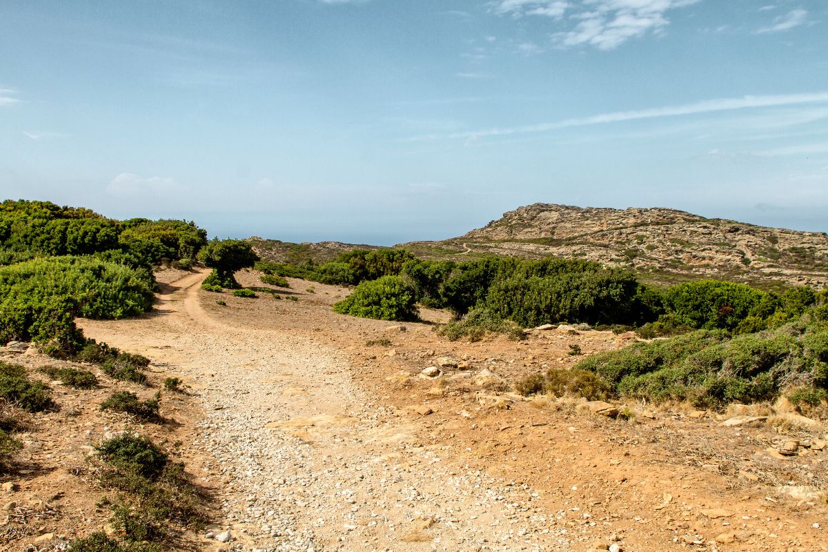 Excursion en bateau en corse