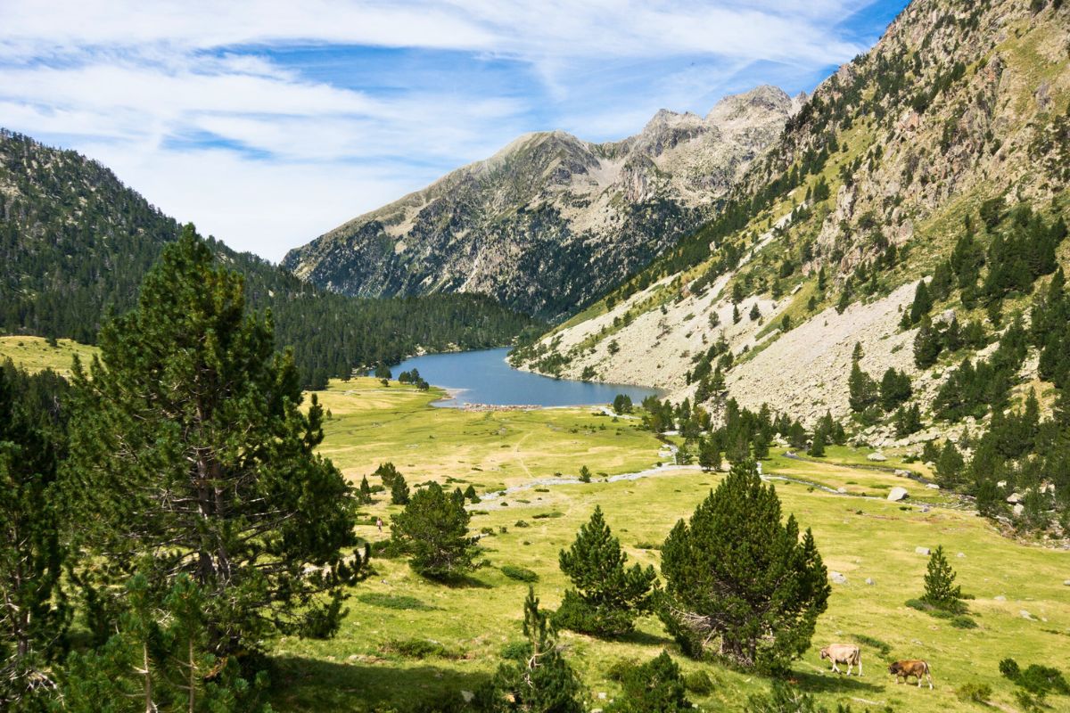 Pyrénées-Orientales