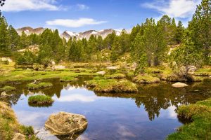 Pyrénées-Orientales