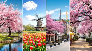 découvrez les destinations incontournables à explorer au printemps. des paysages florissants aux festivals animés, planifiez votre voyage parfait pour profiter des douces températures et de la beauté naturelle de cette saison enchanteresse.