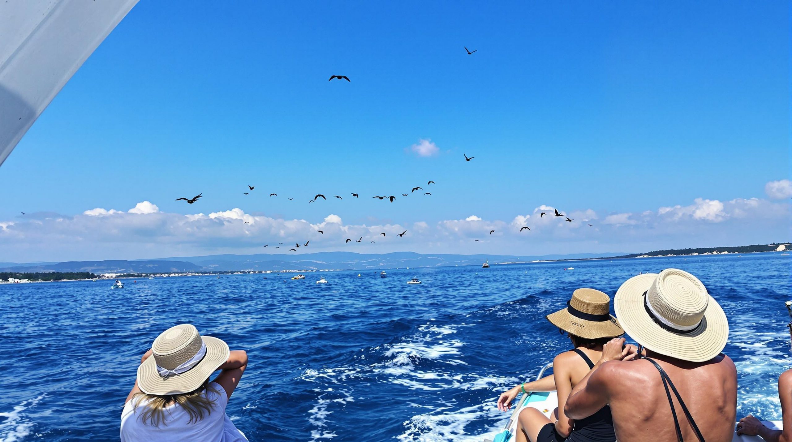 découvrez les atouts du monténégro et de l'albanie pour des vacances inoubliables. comparez paysages, culture et activités pour choisir la destination idéale qui répond à vos envies d'évasion et d'aventure.