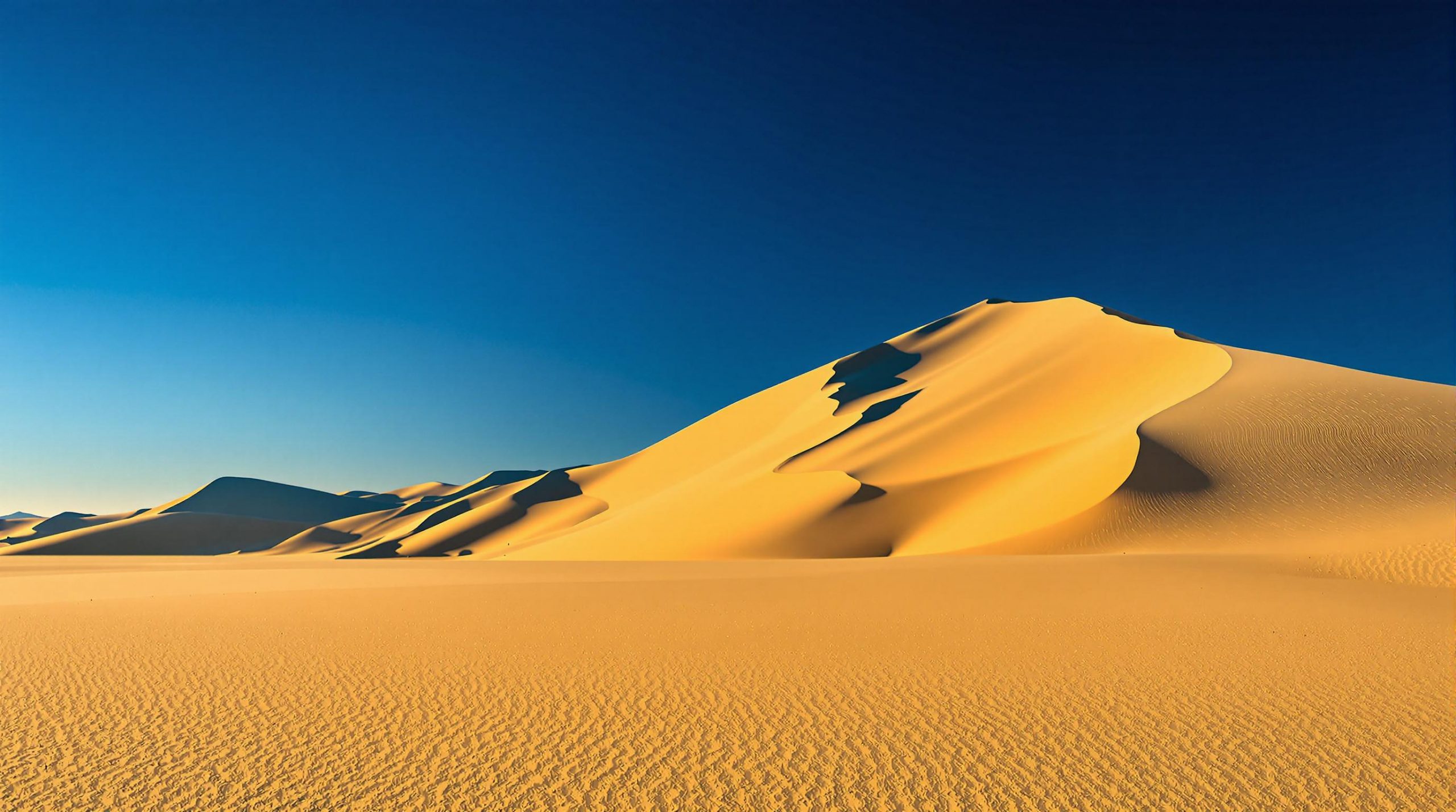 découvrez une plage secrète en camargue, où le sable fin et les dunes évoquent un désert en bord de mer. plongez dans ce havre de paix loin des foules et laissez-vous envoûter par la beauté sauvage de ce lieu unique.