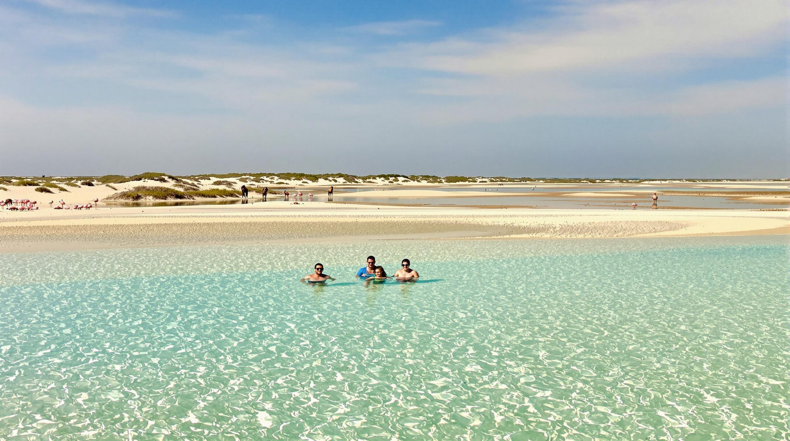 découvrez une plage secrète en camargue, où le sable doré et les paysages désertiques créent une atmosphère unique en bord de mer. évadez-vous vers ce coin de paradis préservé, loin des foules, pour une expérience inoubliable de nature sauvage et de tranquillité.