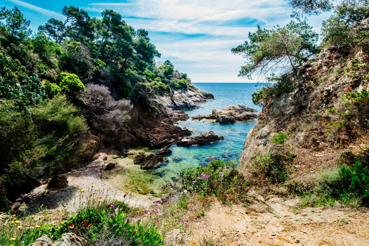 Lavandou Plage
