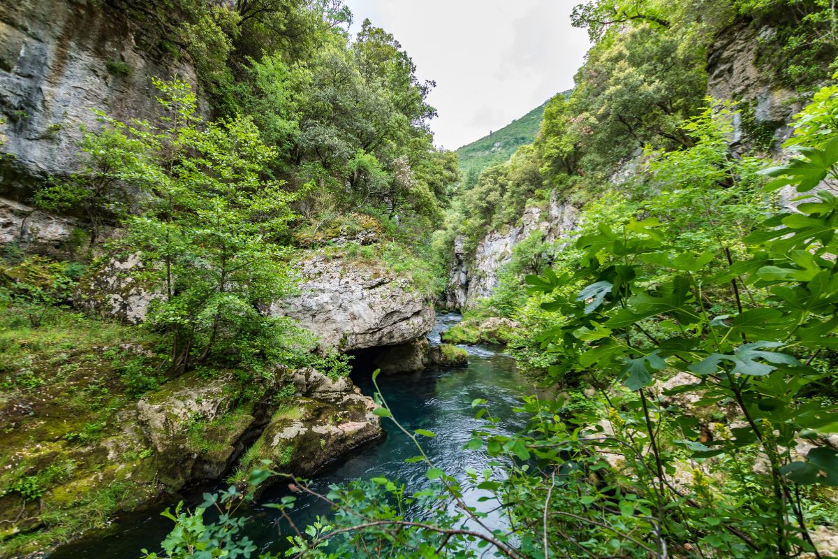 gorges-herault 