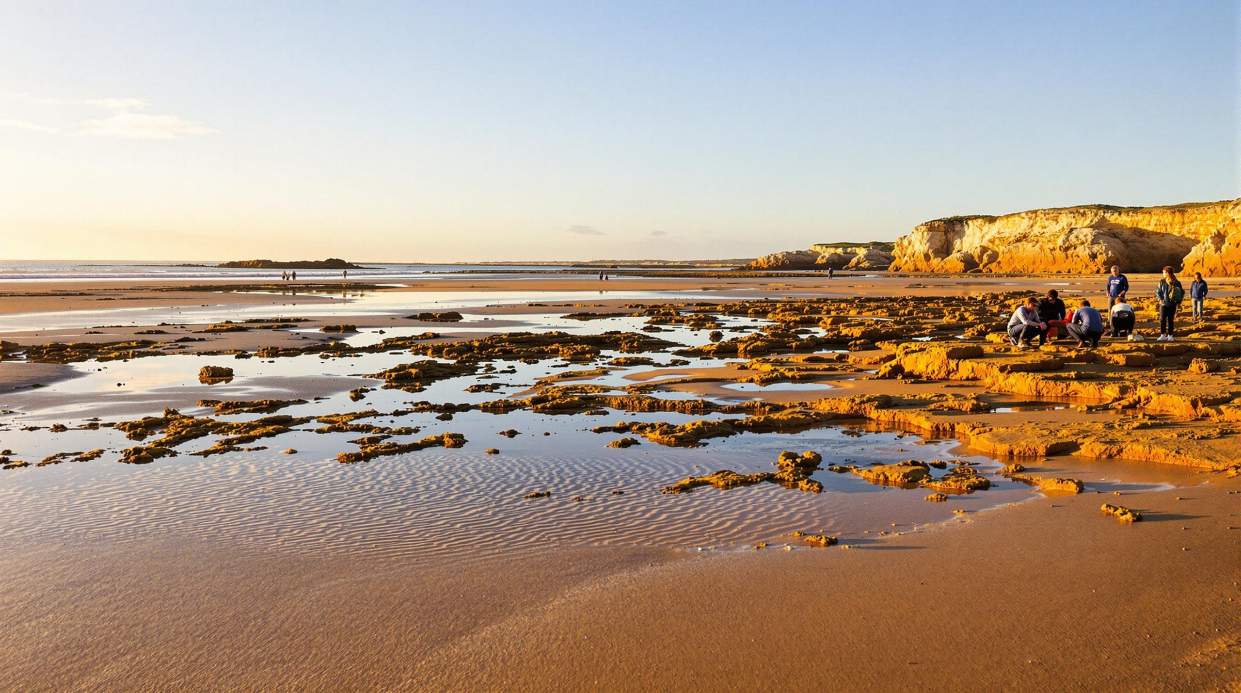 découvrez la magie des marées à saint-malo, un spectacle naturel époustouflant où les paysages se transforment au rythme des vagues. plongez dans l'univers fascinant de cette cité corsaire, entre histoire et phénomènes maritimes, et laissez-vous émerveiller par la beauté sauvage de la côte bretonne.