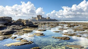 découvrez la magie des marées à saint-malo, un spectacle naturel époustouflant qui fascine par ses mouvements spectaculaires et son ambiance unique. admirez les transformations du littoral, la puissance des vagues et la beauté des paysages à chaque marée.