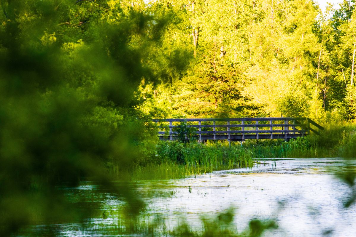 Parc du Docteur Fauvel