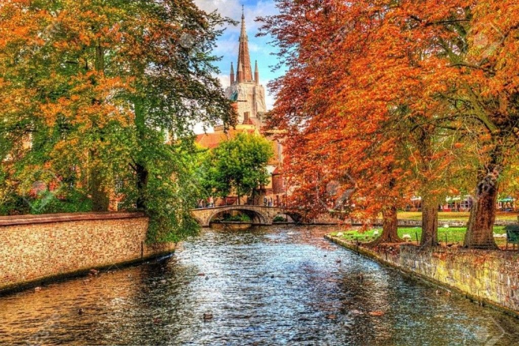 Où admirer les couleurs d'automne en Belgique : 8 destinations d'exception